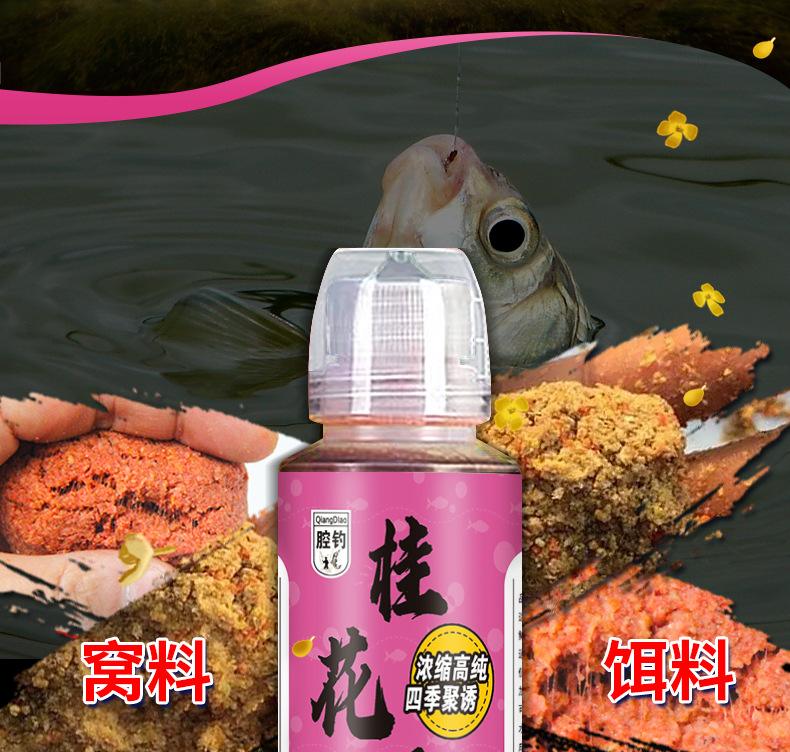 渔具鱼食小药(鱼小药是什么)