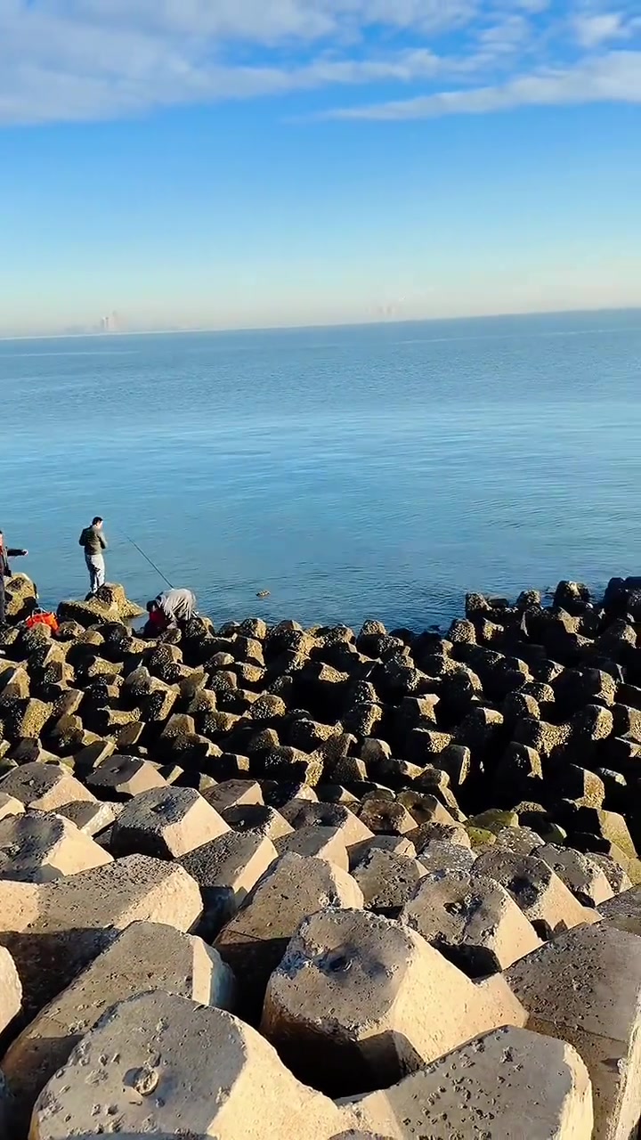 近海海钓的季节(近海海钓鱼种)