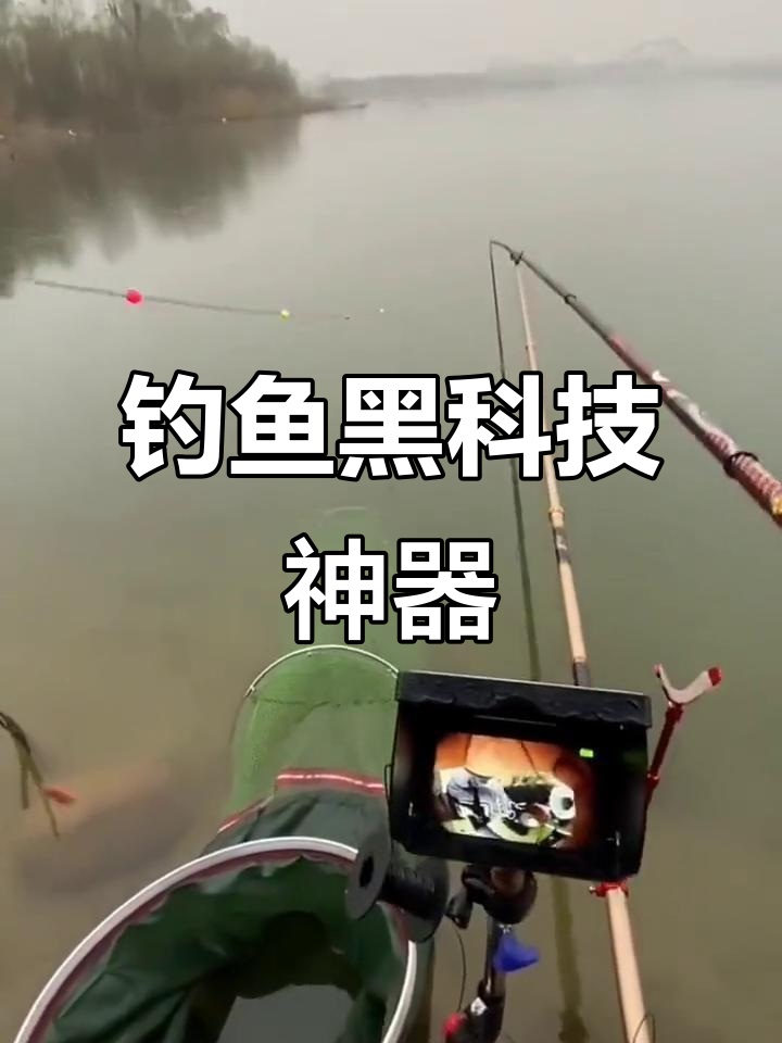 夏初阴雨天钓鱼技巧(夏季阴雨天钓鱼要注意哪些方面问题)