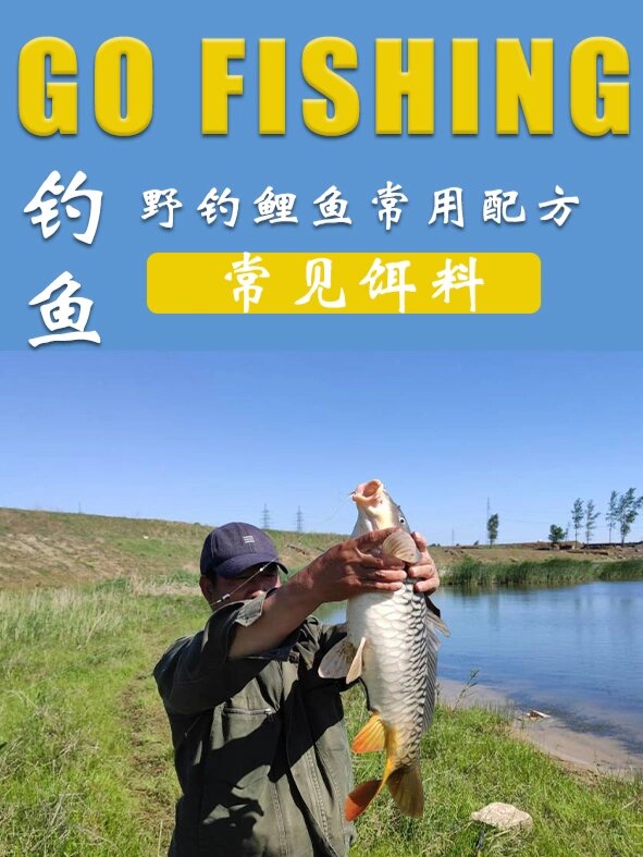 商品饵料搭配(商品饵加什么效果好)