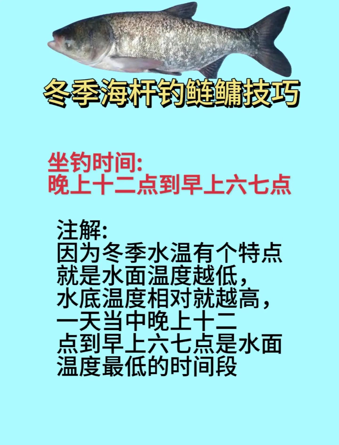 冬季野外钓鱼技巧(冬季野钓钓鱼技巧全知识)