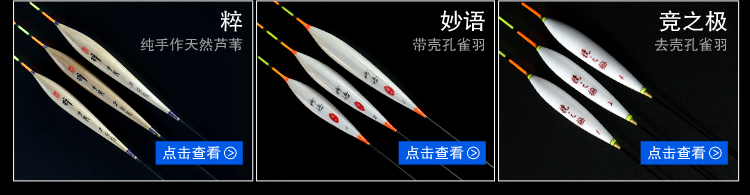 藤田渔具官网(世尚藤田渔具有限公司)