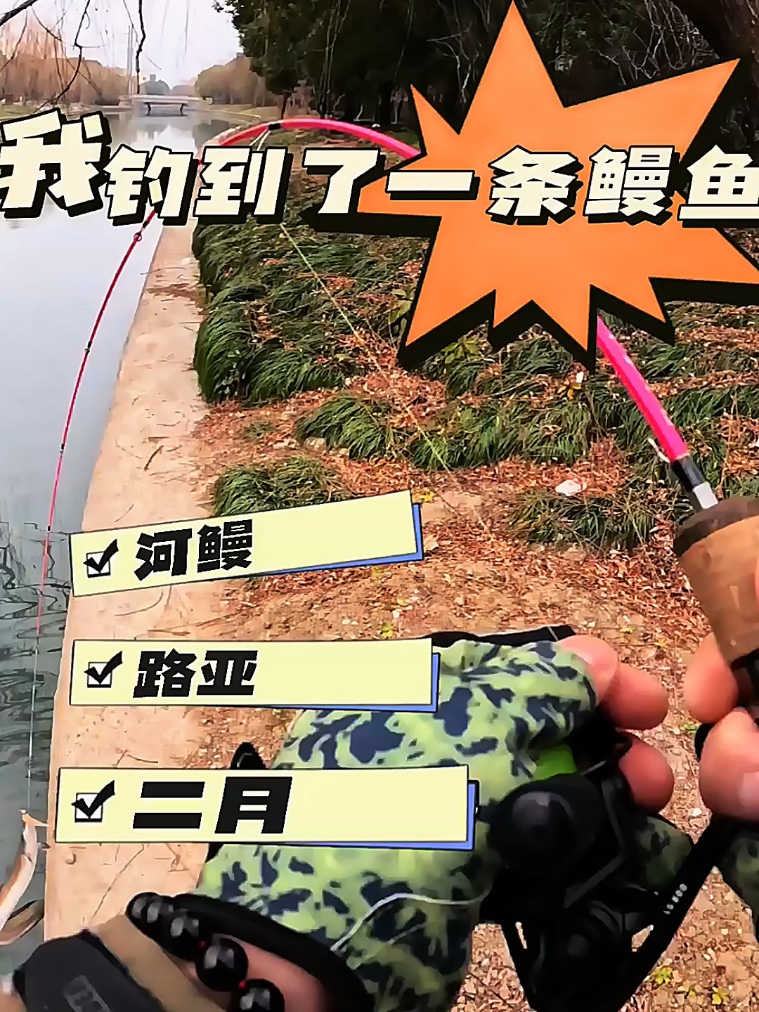 海鳗怎么钓技巧(怎样钓海鳗)
