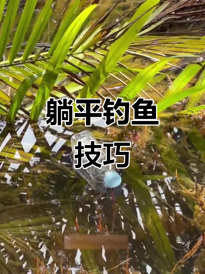 海鳗怎么钓技巧(怎样钓海鳗)