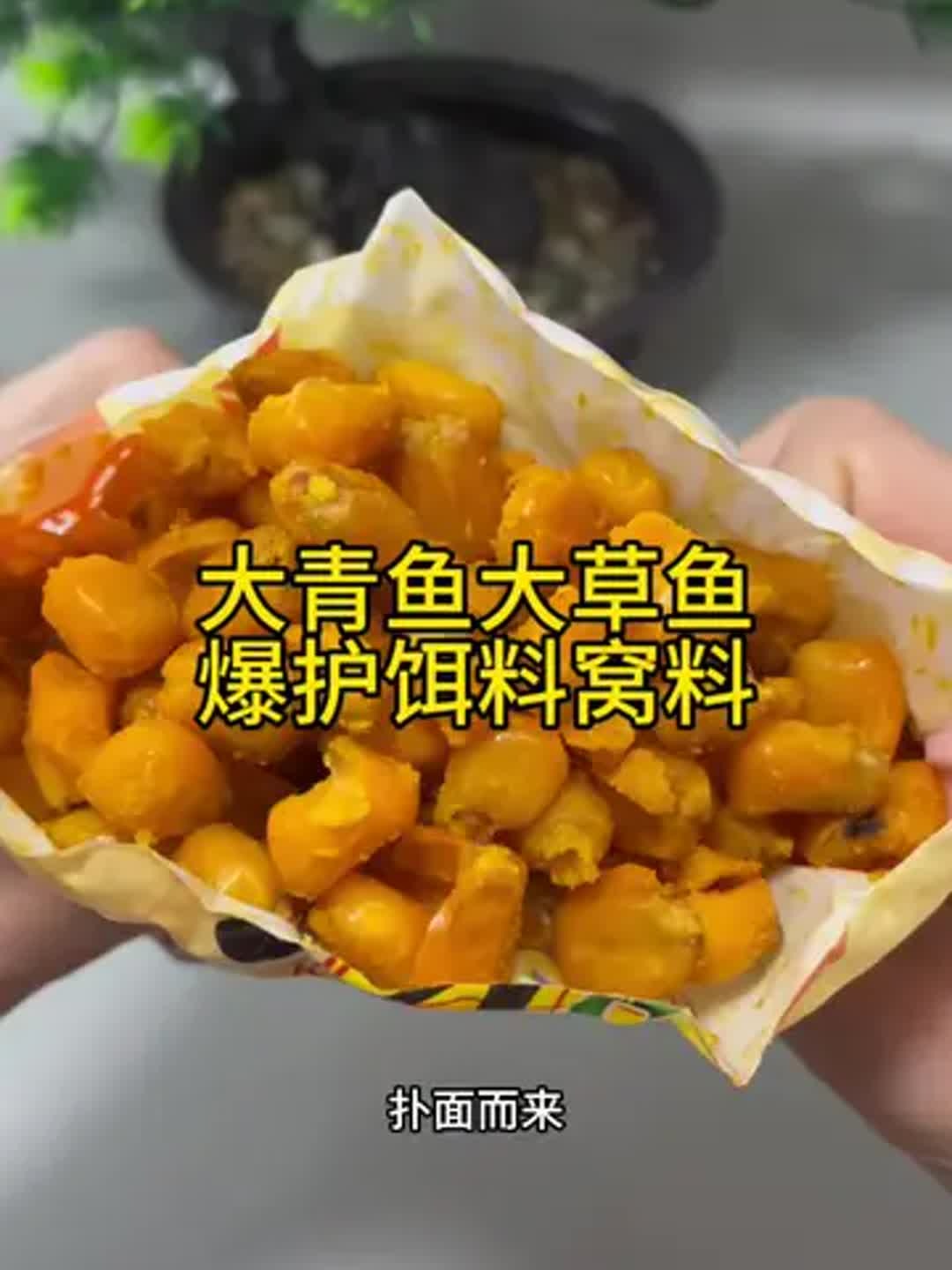 饵料可以加蜂蜜(饵料加蜂蜜有什么效果)
