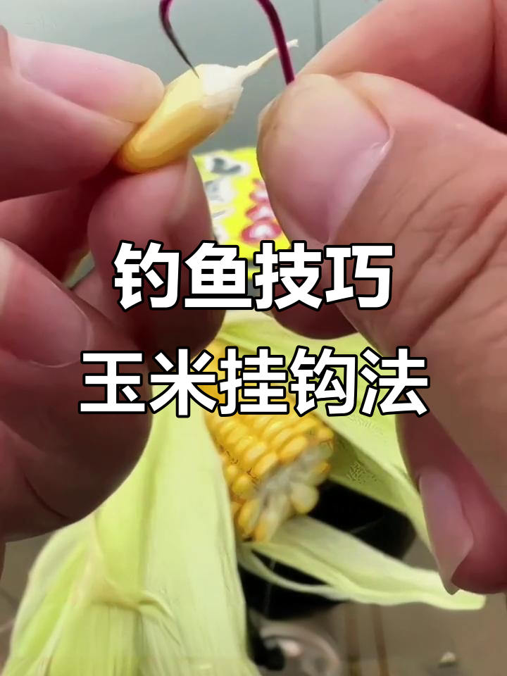 手竿怎么挂饵料(手竿怎么挂饵料图解)