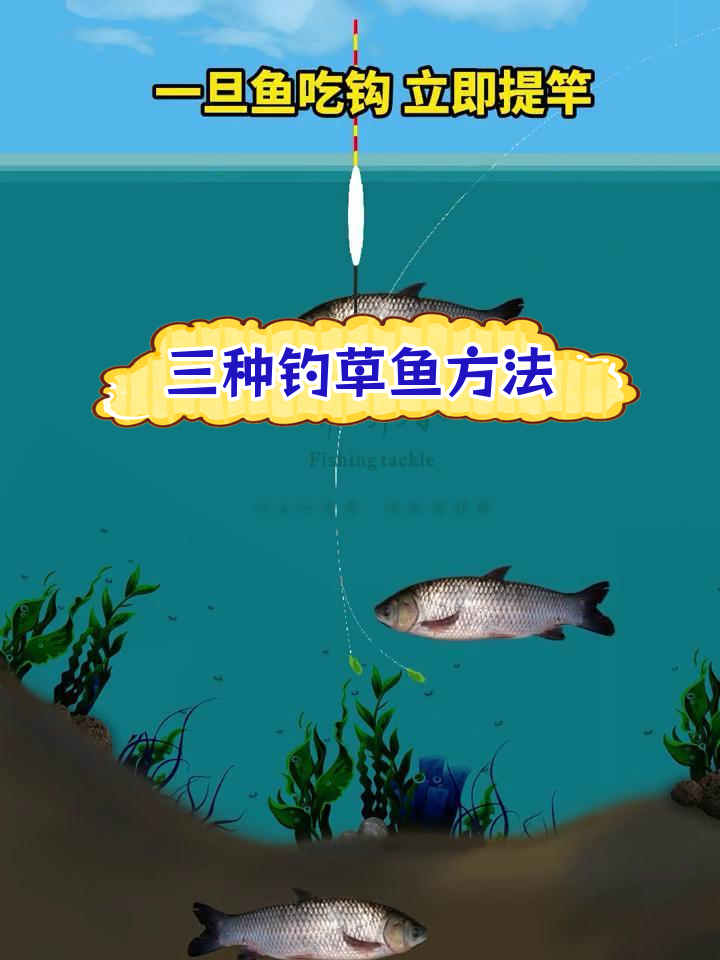草包钓鱼技巧(钓草包鱼是什么饵料)