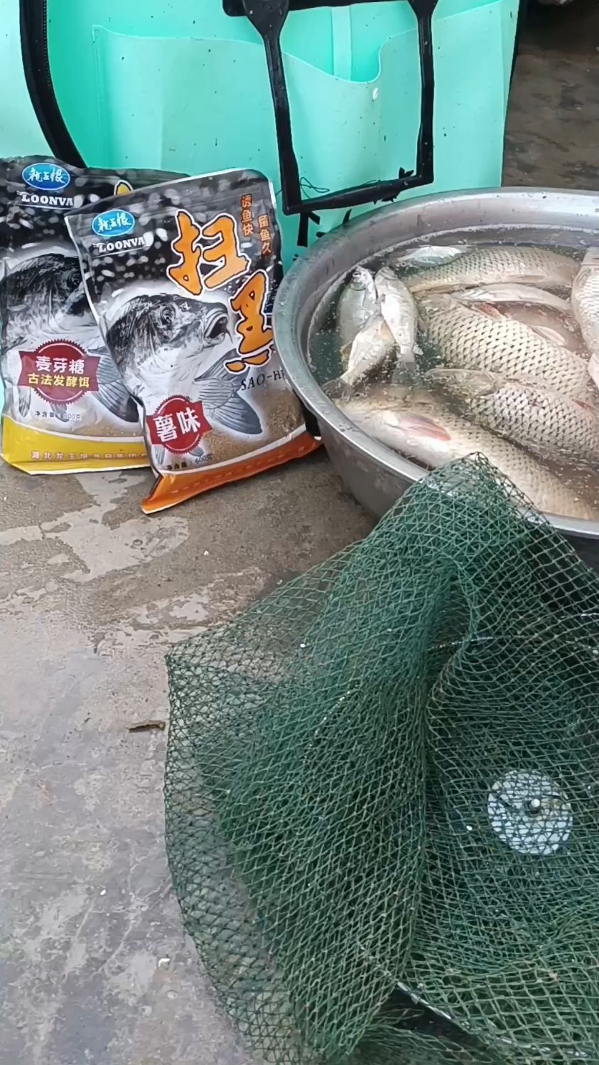 鲤鱼不开口饵料(鲤鱼不开口怎么钓)