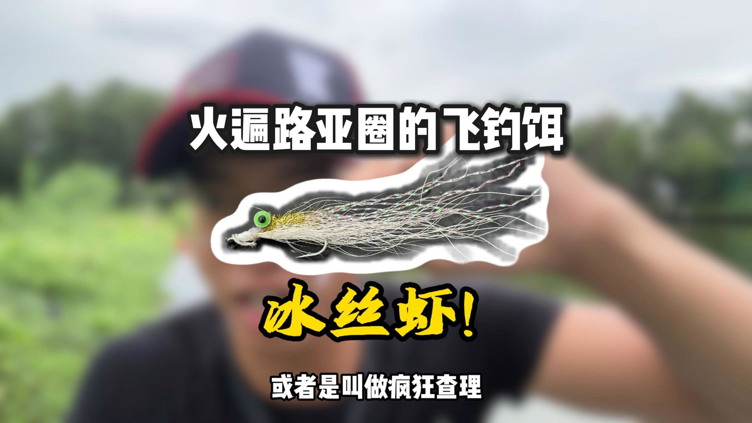 乘风路亚(台风最新实况路径查询)