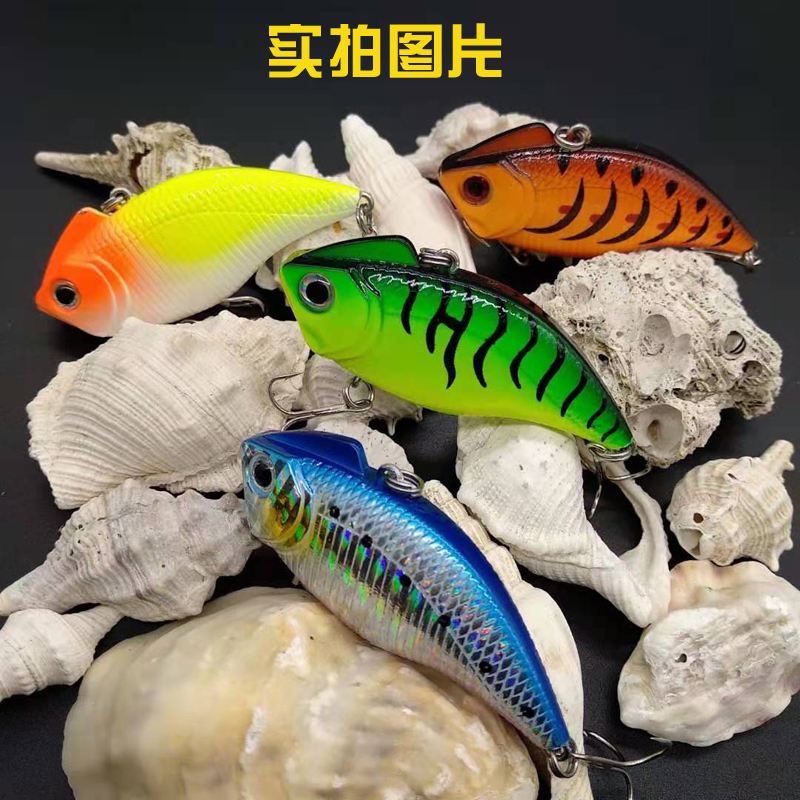 海钓全层(海钓底层鱼多还是上层鱼多)