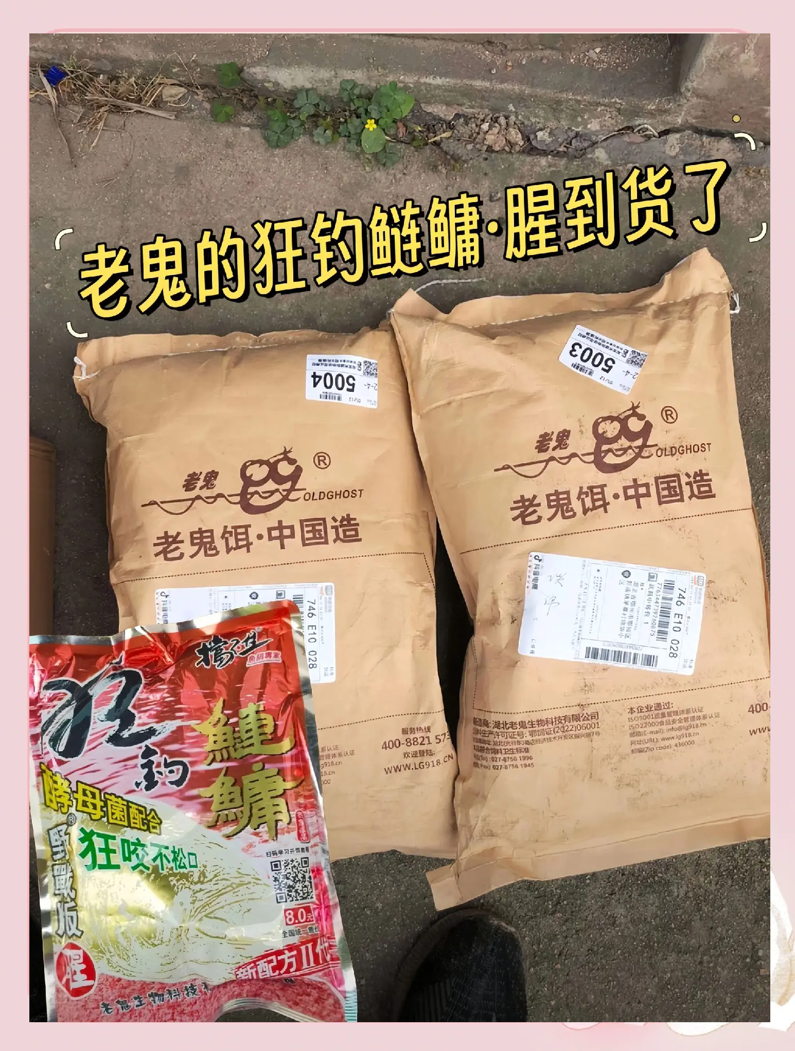 鱼饵老鬼饵料配(老鬼饵料视频)