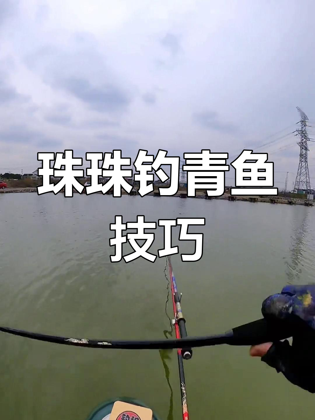 钓青鱼的技巧(钓青鱼的技巧图解)
