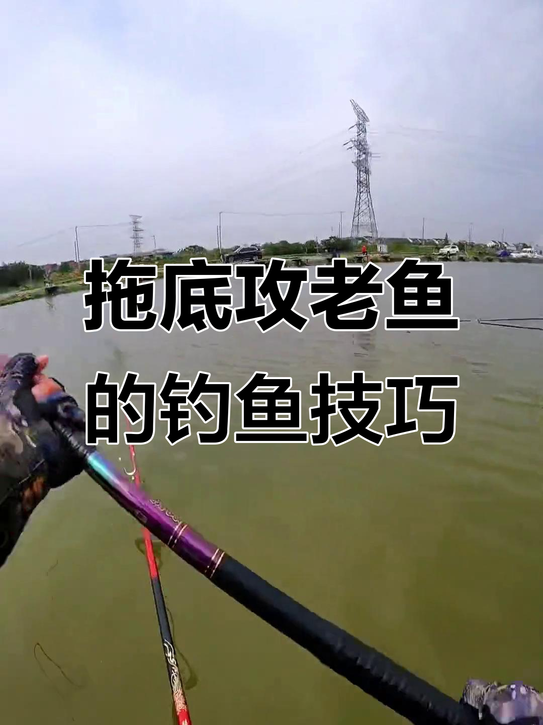 单钩海杆钓青鱼技巧(单钩海杆钓青鱼技巧和方法)