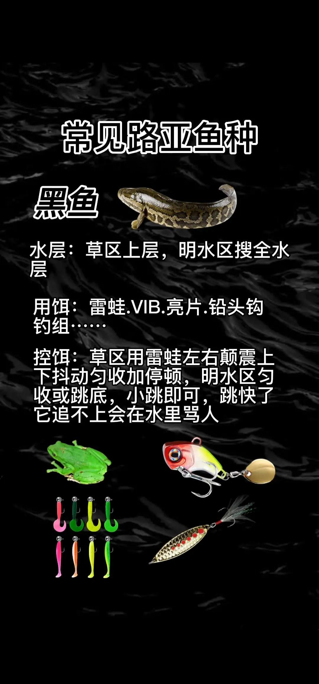 北方路亚钓法(北方路亚用什么饵)