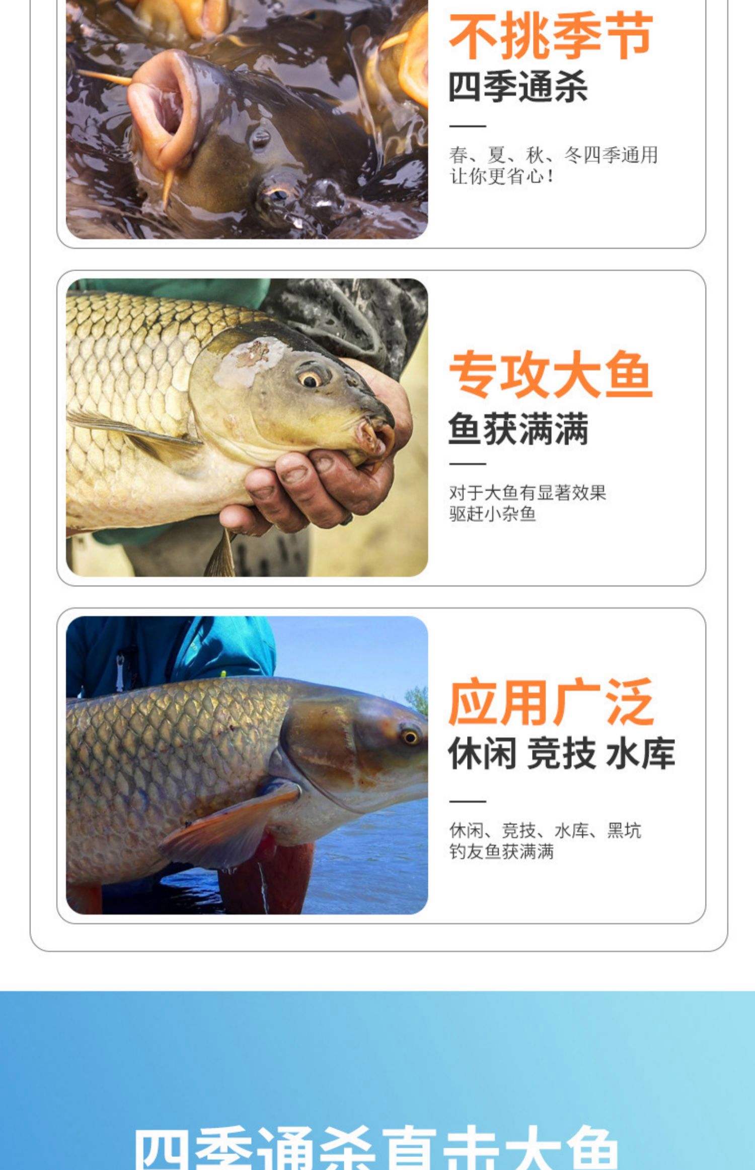 海钓钓鱼打粉技巧(打海钓用什么饵料最好)