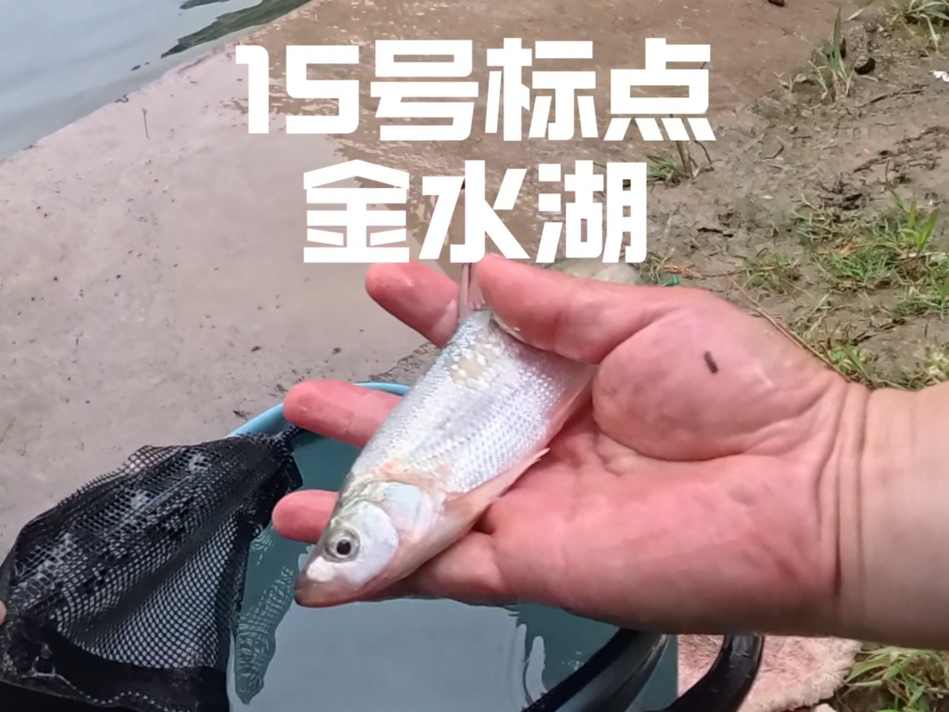 太湖路亚点(太湖路亚标点)