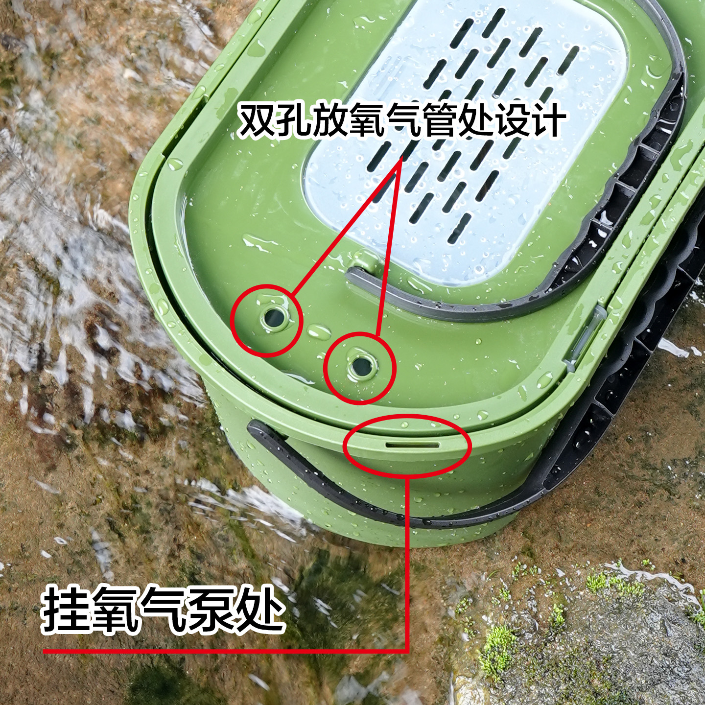 丹灶路亚(打路亚是什么意思)