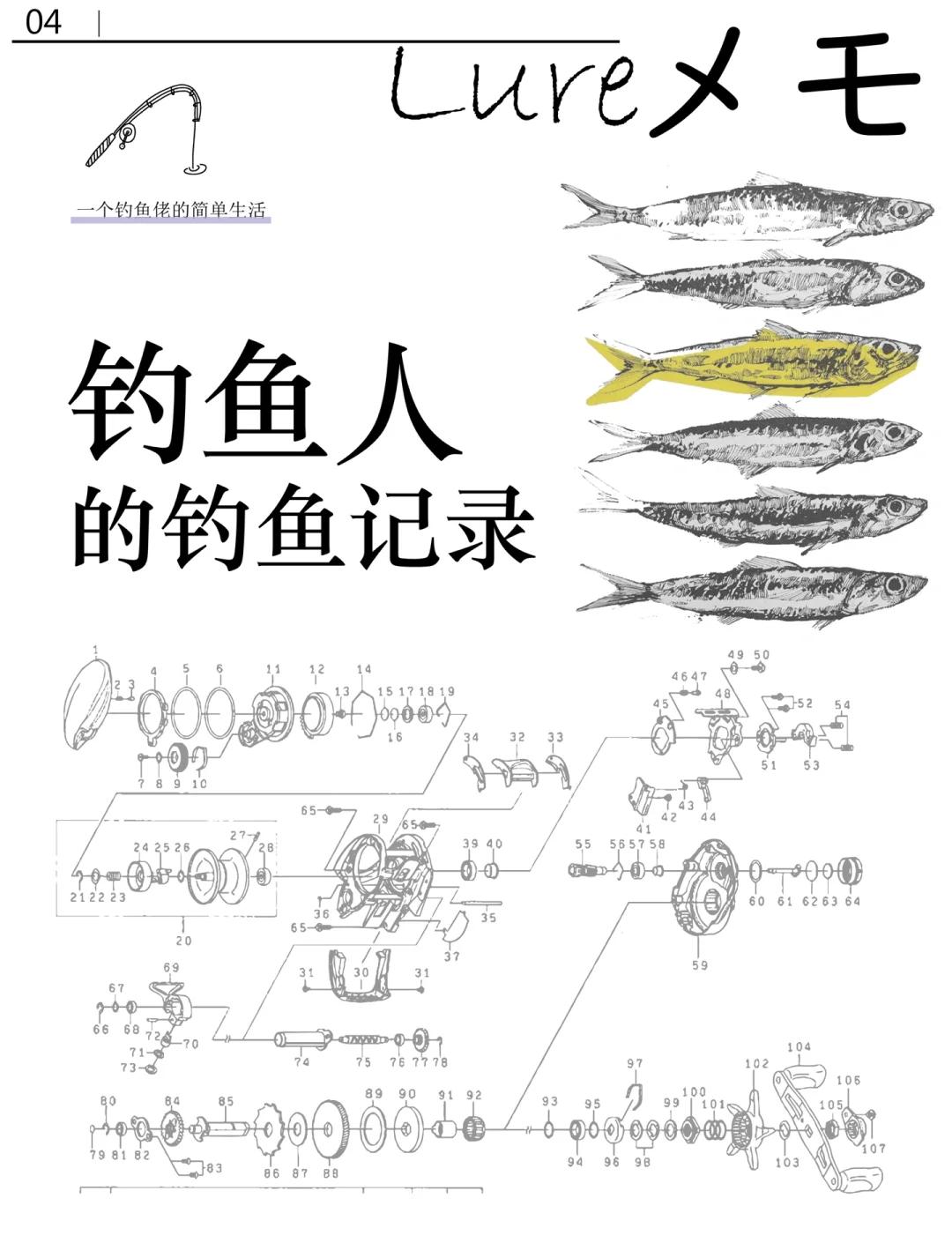 抛竿抛投技巧视频(抛竿抛投方法视频)