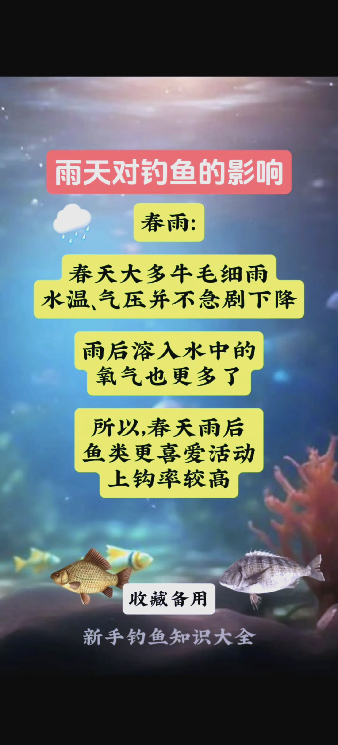 秋季阴雨天中午钓鱼技巧(仲秋阴雨天好钓鱼吗)