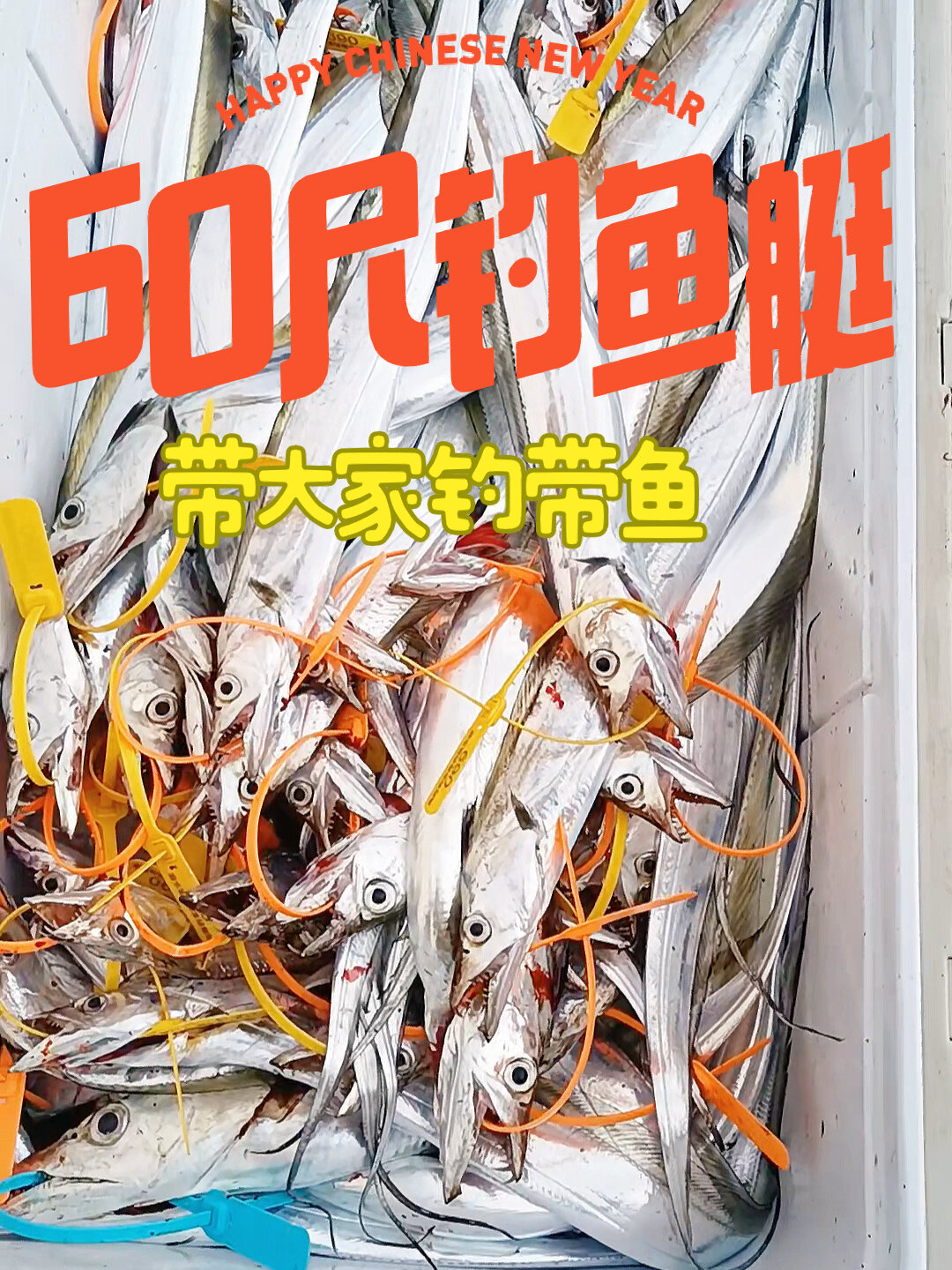 夜晚海钓攻略(夜钓海鱼)