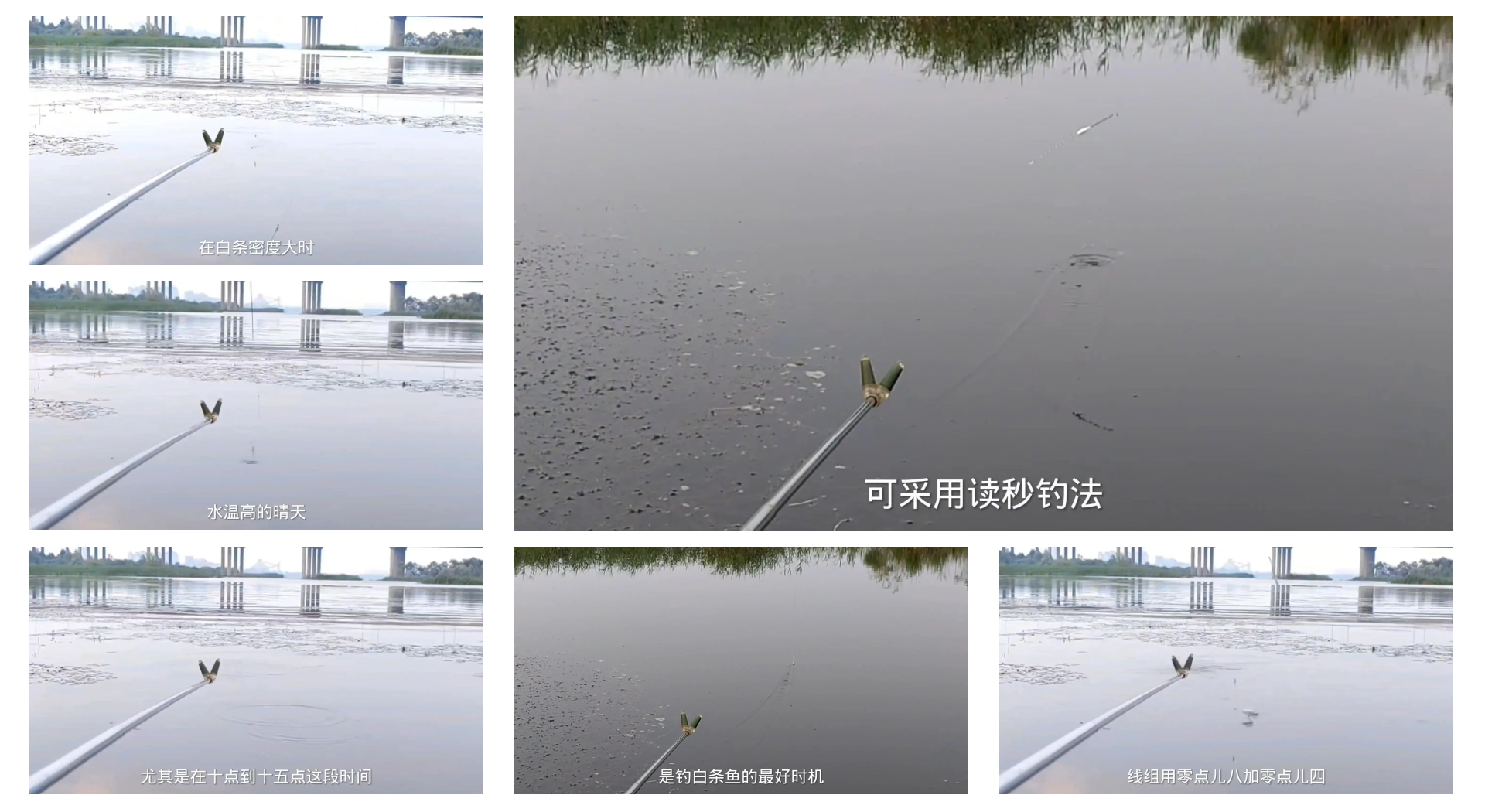 钓白条技巧(手杆钓白条技巧)