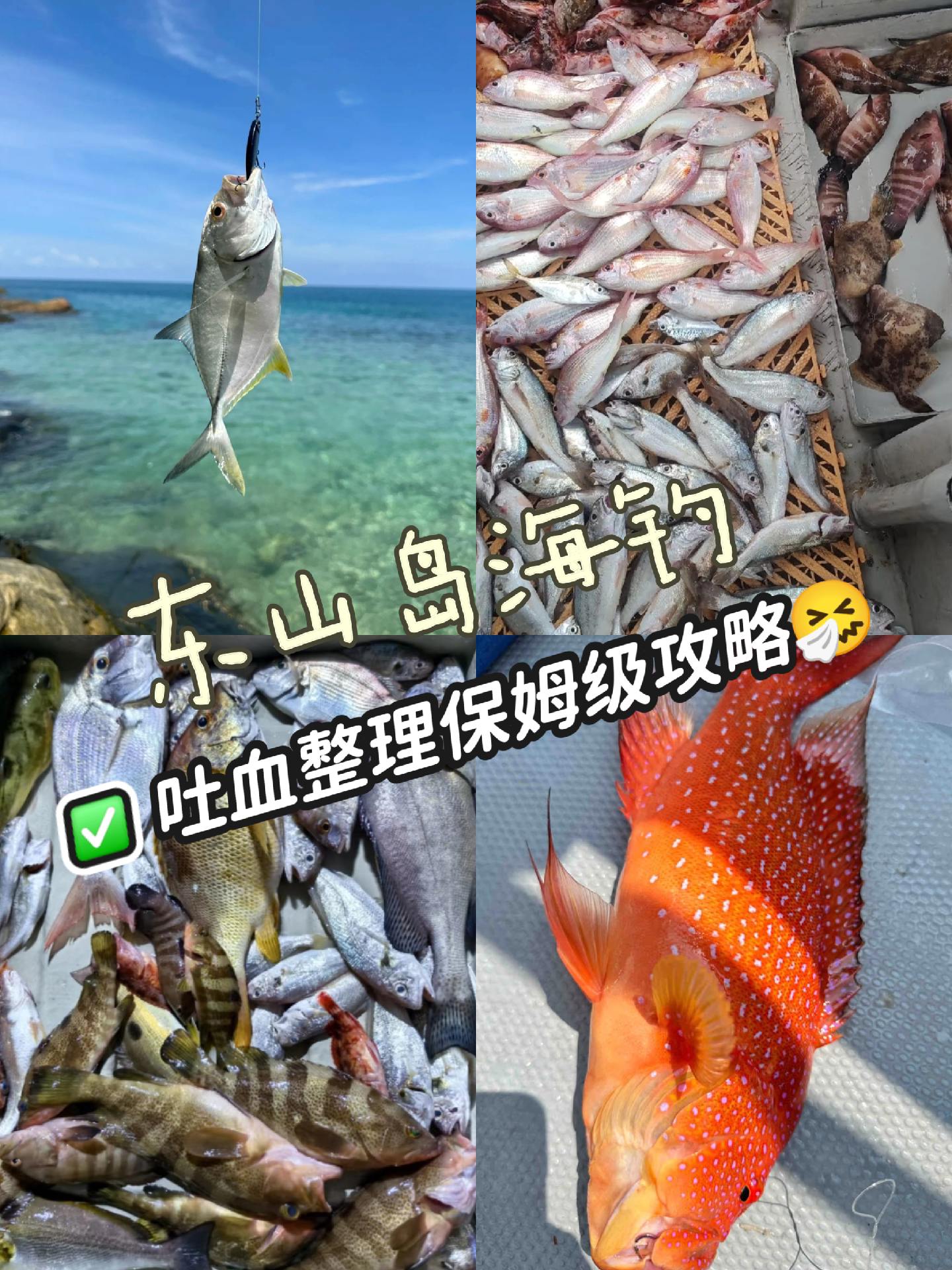 如何海钓红鲉鱼(海钓黑鲷十句口诀)