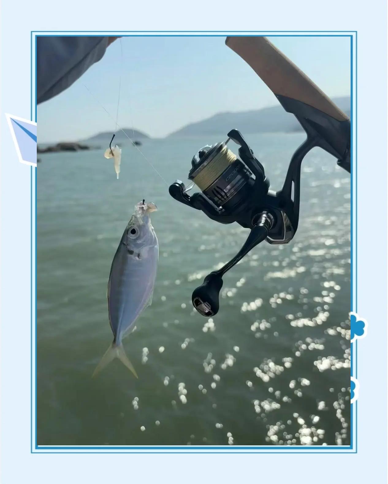 下午适合海钓(海钓是上午好还是下午好?)