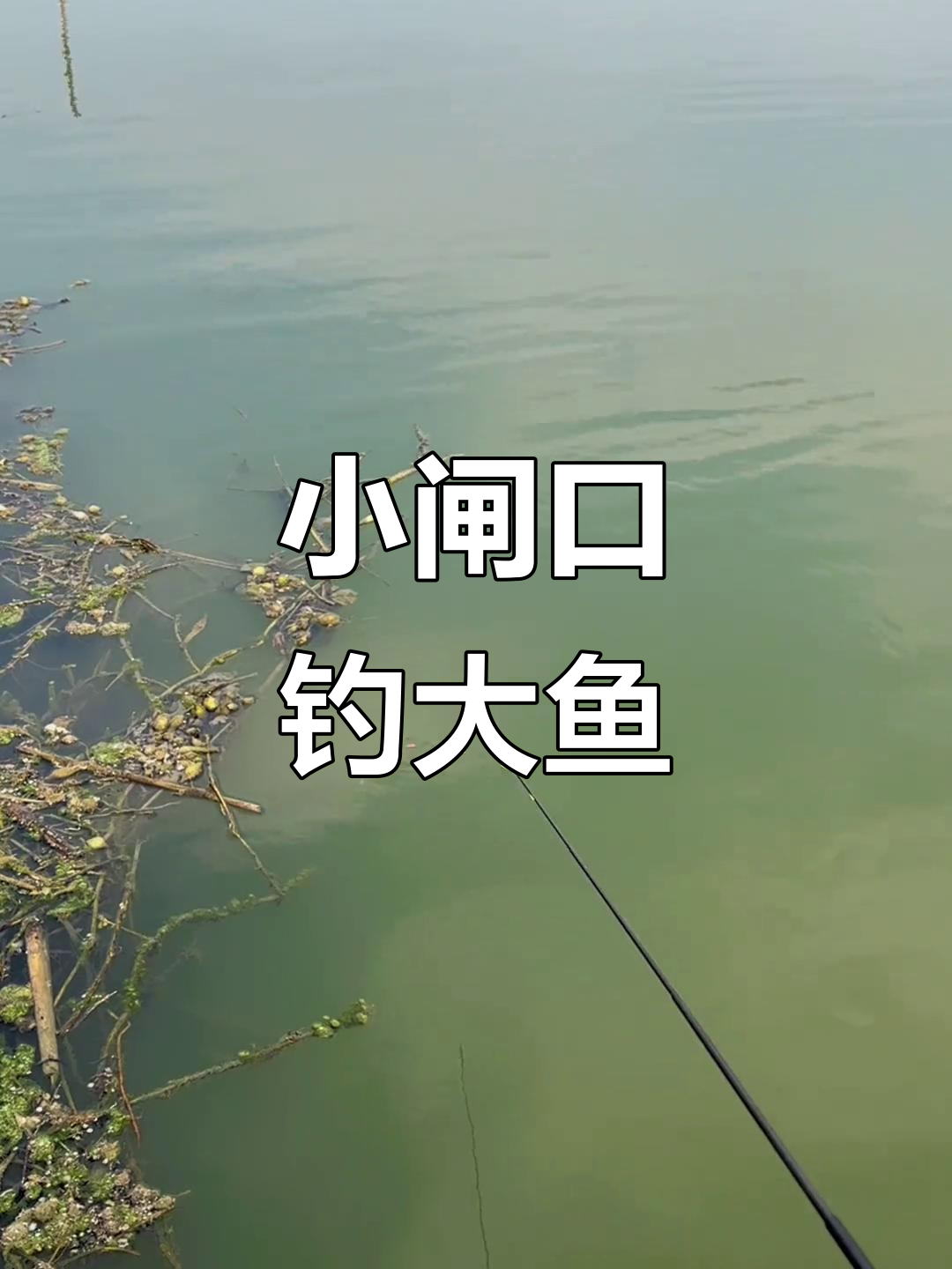 在闸口钓鱼技巧(在闸口钓鱼技巧图解)
