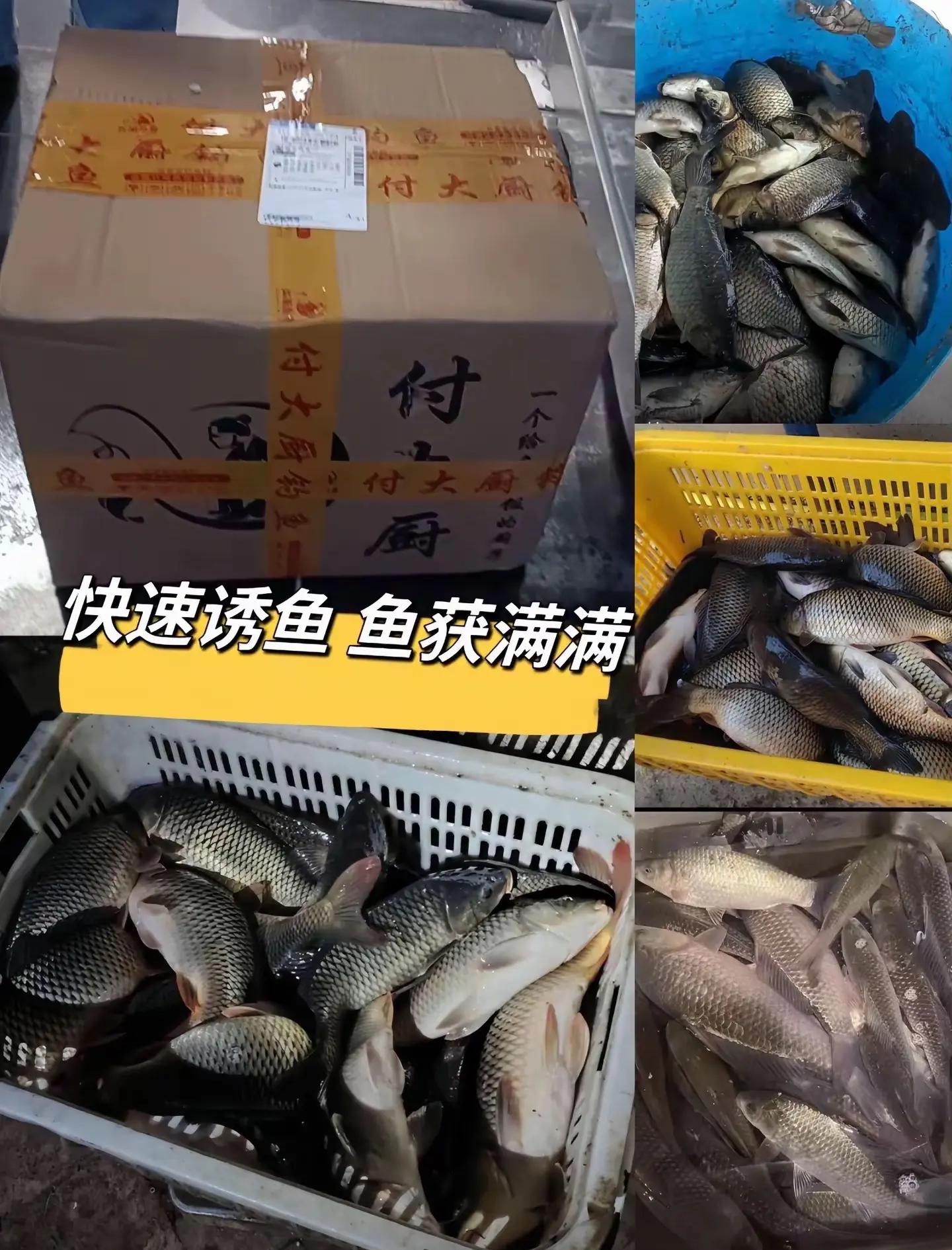 饵料代(饵料代加工厂家)