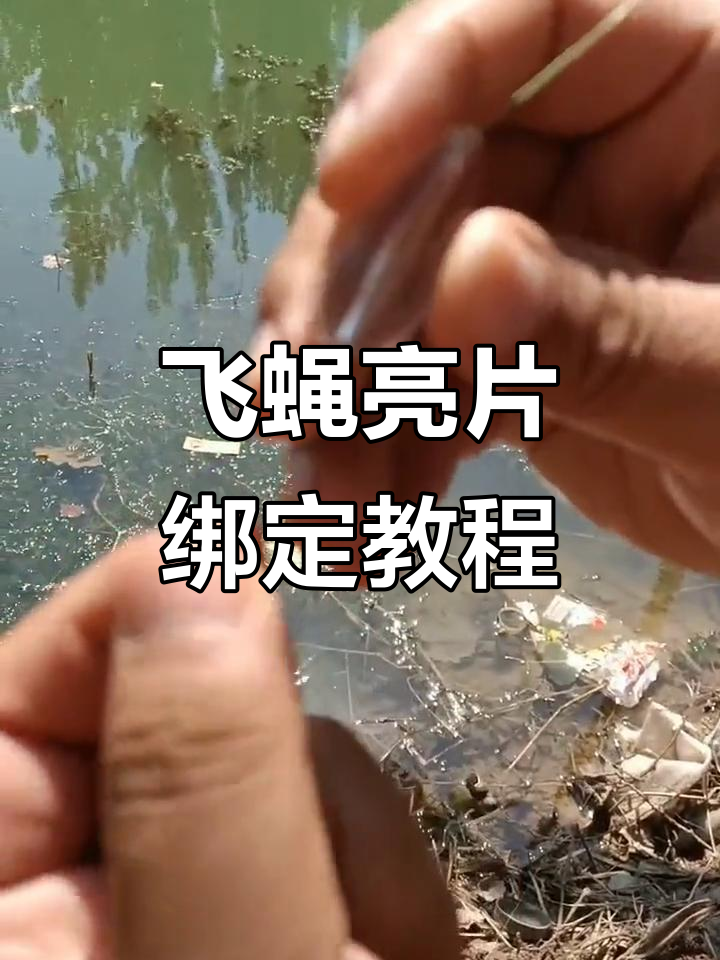 路亚竿飞蝇钓法(路亚飞蝇钓线组图解)