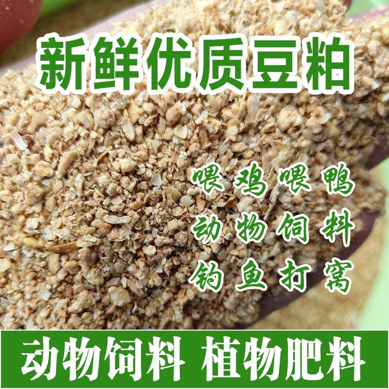 黄豆果香味饵料(黄豆钓鱼鱼饵的制作方法)
