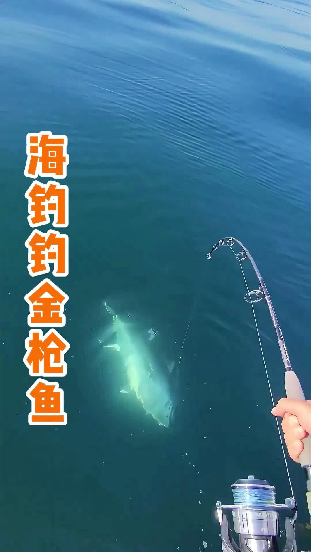 出海钓金枪鱼工资(大型海钓船钓金枪鱼)