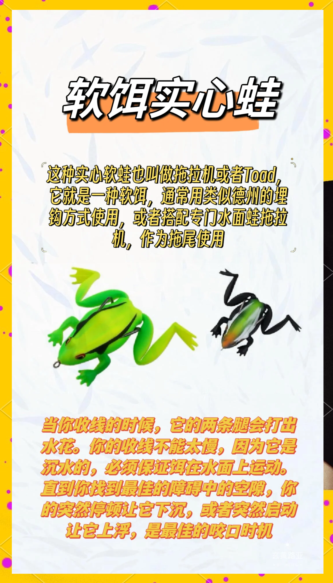 包含路亚假饵青蛙怎么挂的词条