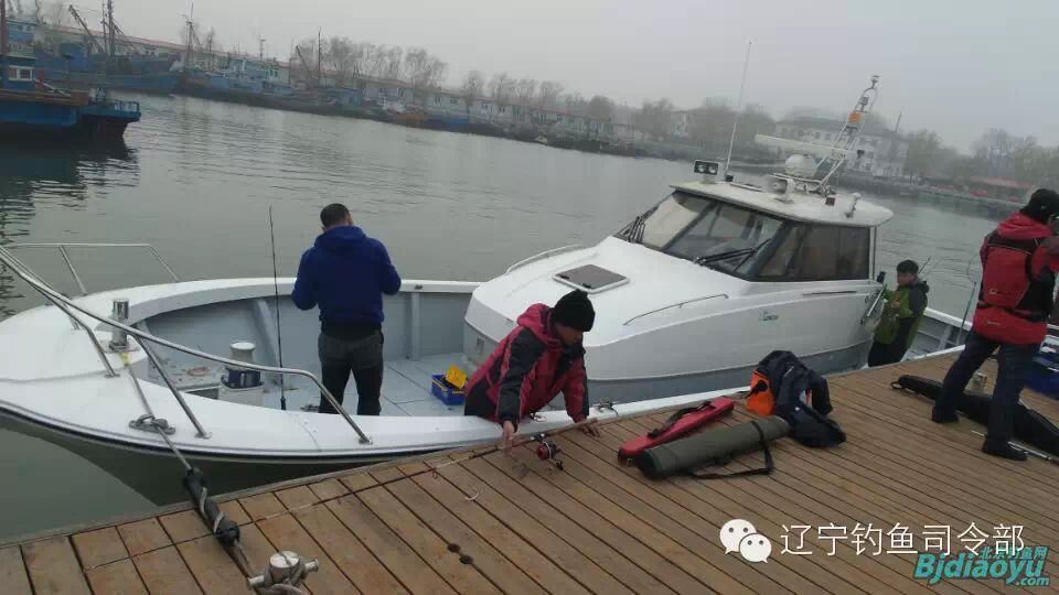 渤海钓鱼网(渤海 海钓)