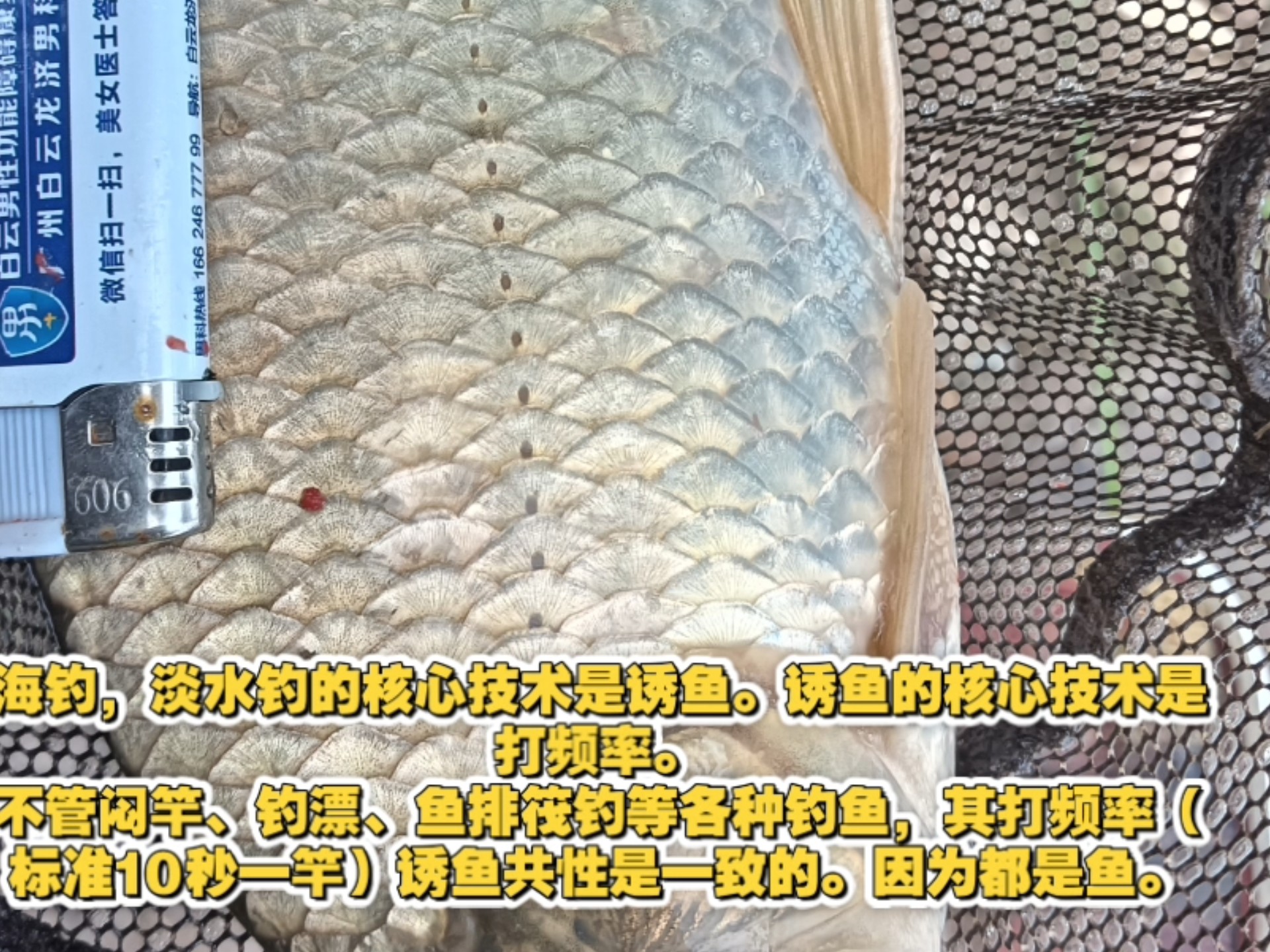 海钓和淡水钓区别(钓淡水鱼和海鱼有什么区别)