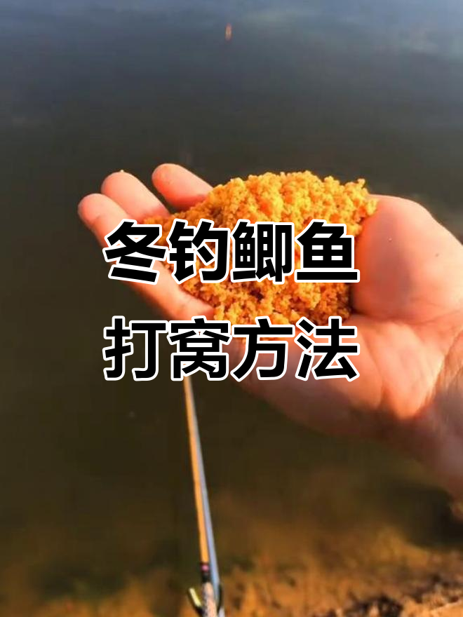 南方冬季钓鲫鱼技巧大全(南方冬季钓鲫鱼技巧大全视频)