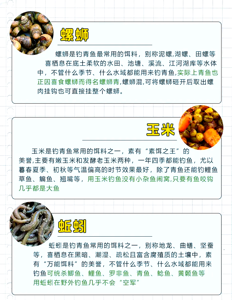 野生青鱼饵料配方(野生青鱼饵料配方表)