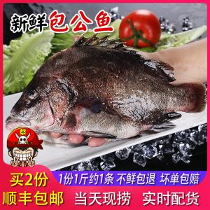 海钓黑裙(海钓黑色的鱼)