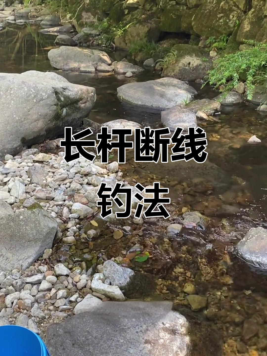 钓鱼点抛技巧(台钓抛竿落点和浮漂)