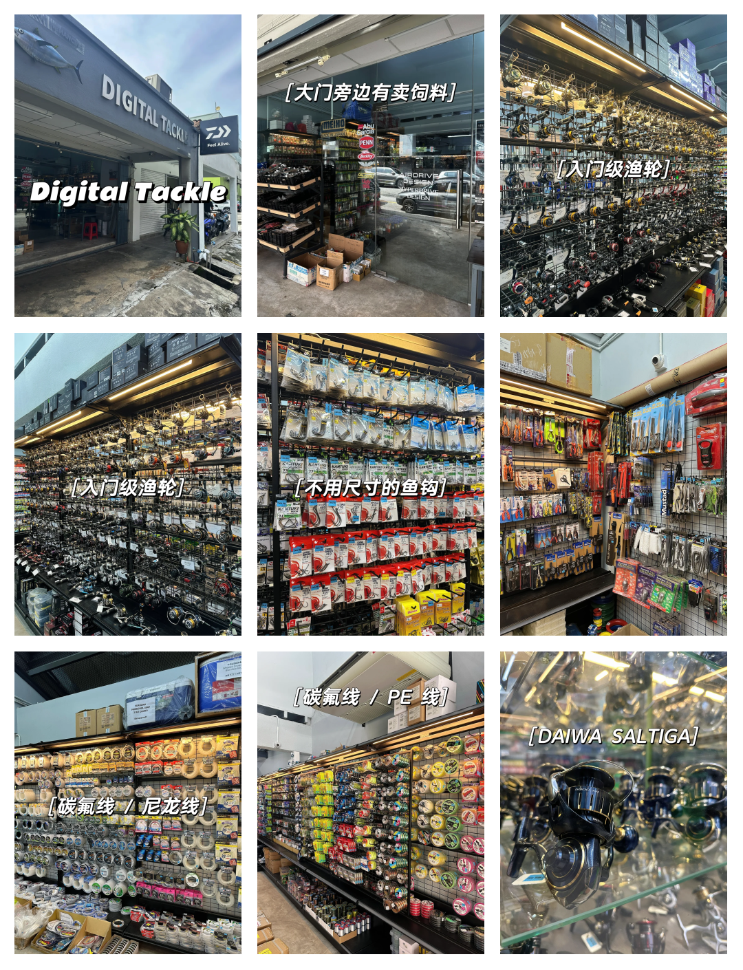 寿光那个渔具店好(寿光批发市场今日价格)