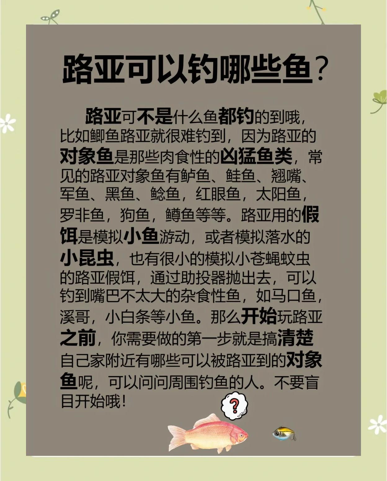 《路亚全攻略》(路亚攻略 视频)