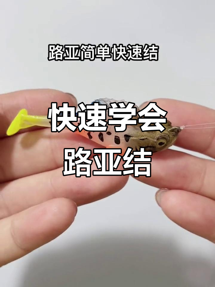 打路亚教学视频(打路亚常识)