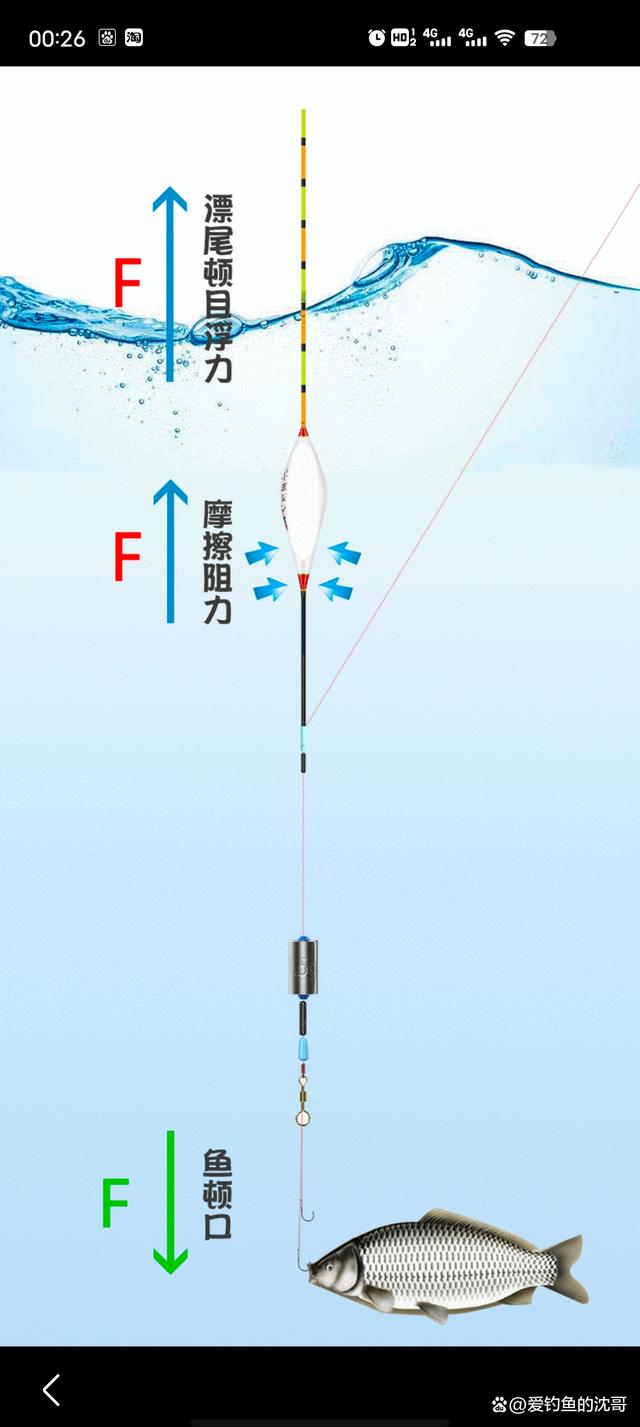 海钓鲈鱼钓底还是钓浮(海钓鲈鱼钓底还是钓浮钓底)