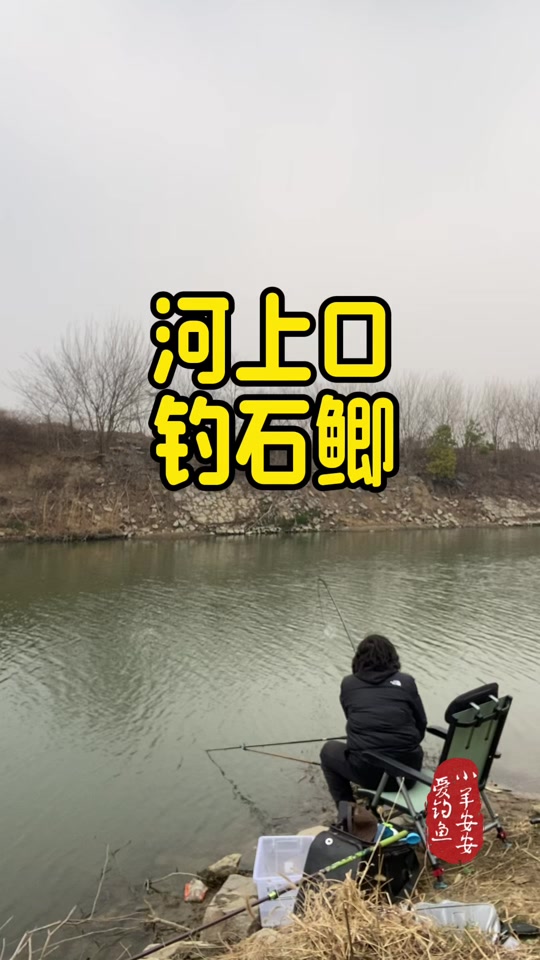 四海钓鱼推荐(四海钓鱼推荐鱼竿20222023)