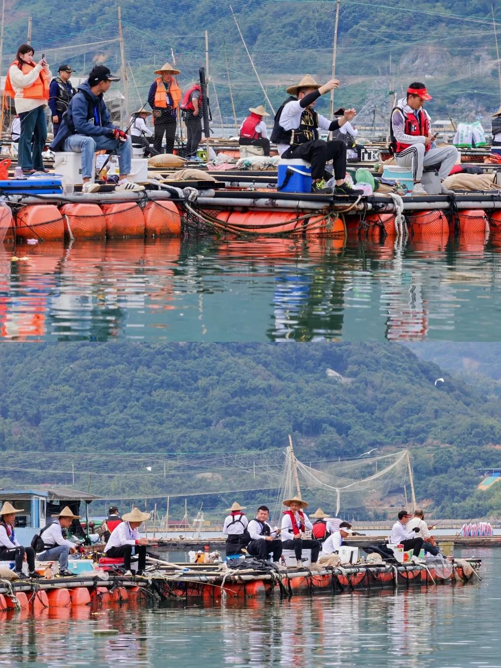 温州哪里海钓(温州海钓哪个地方好)