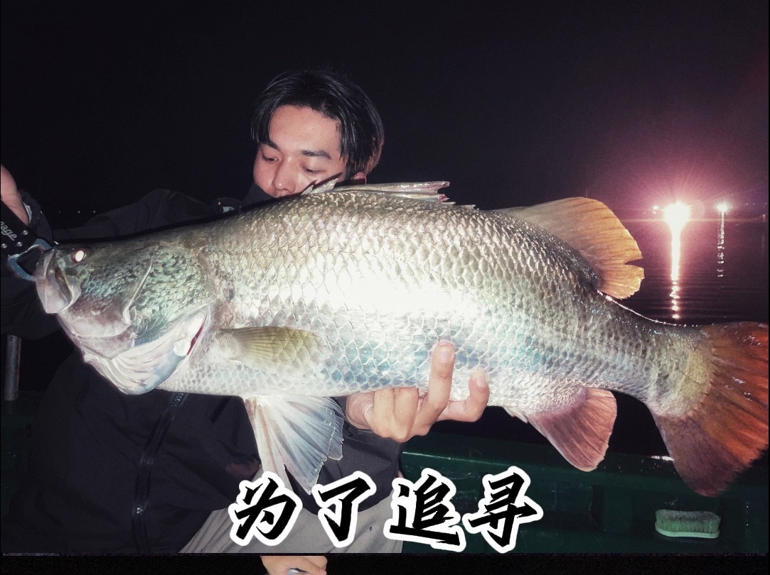 海钓场金目鲈(渔乐圈海钓场)