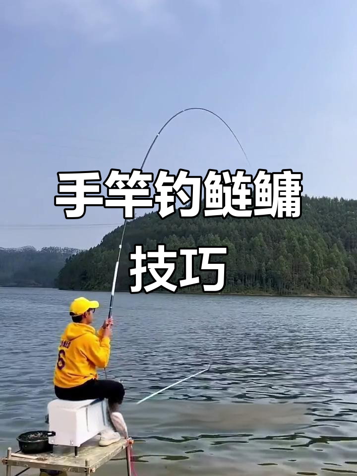 秋季手杆钓鲢鳙技巧(秋季手杆钓鲢鳙技巧视频)