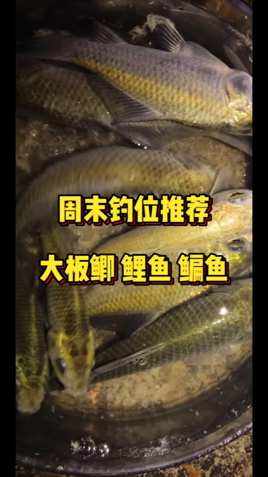惊蛰前后钓鱼技巧(惊蛰前后野钓)
