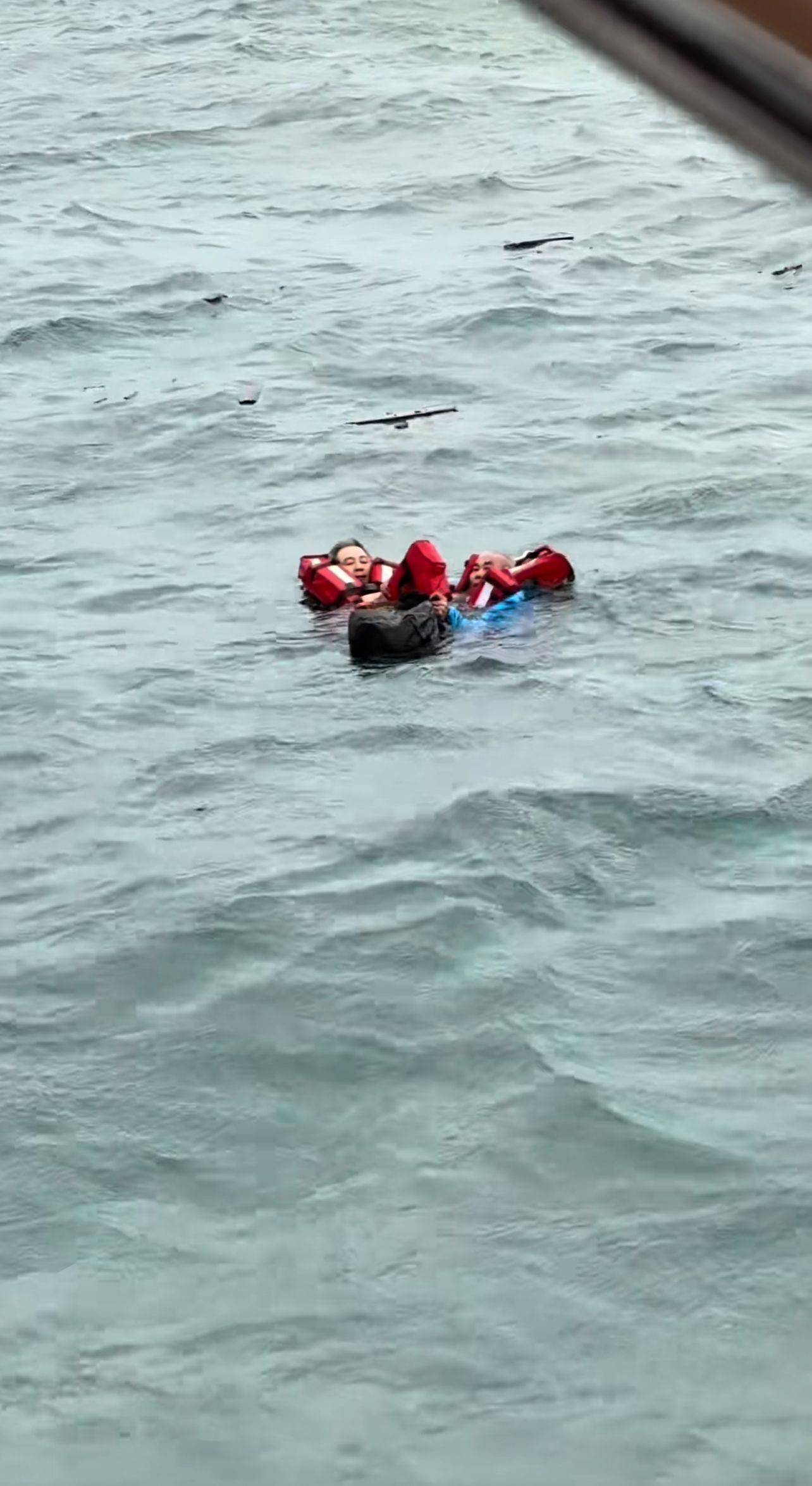 最近海钓没鱼(今年海钓为何难钓)