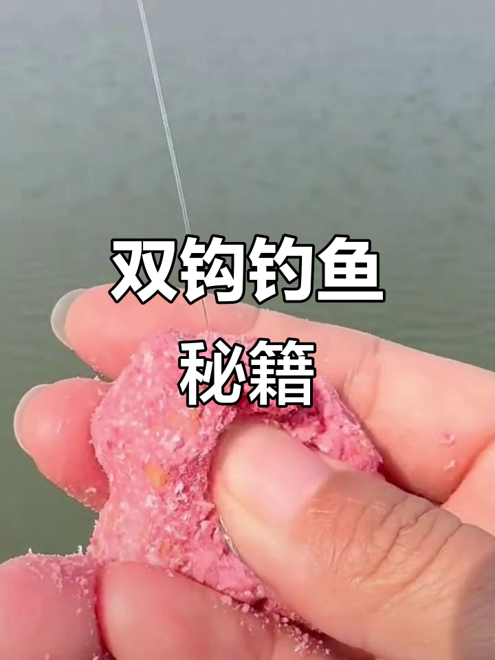 棉花钓鱼技巧(如何用棉花做钓饵)